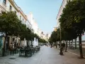 Disfruta de un día en Jerez de la Frontera paseando por esta calle arbolada con terrazas.