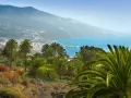 Un paisaje idílico para saber qué ver en La Palma: palmeras exuberantes, el azul del mar y un pueblo costero al fondo.