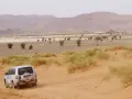 Un todoterreno blanco avanza por dunas de arena en un paisaje desértico de Marruecos. ¡Una aventura de Marruecos 5 días!