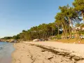 Playa de arena dorada con pinos inclinados y casas al fondo. Un día perfecto para ver qué ver en O Grove, con gente disfrutando del sol y el mar.