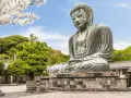 El Gran Buda de bronce, una maravilla que ver en Kamakura, sentado serenamente bajo cerezos en flor y rodeado de exuberante vegetación.