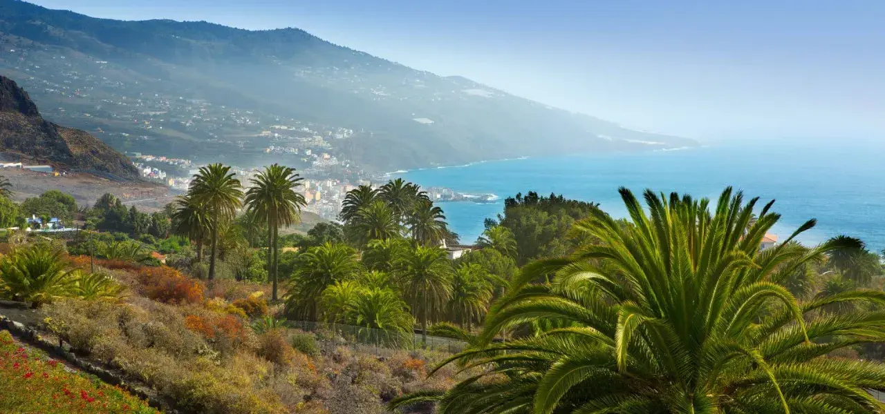 Un paisaje idílico para saber qué ver en La Palma: palmeras exuberantes, el azul del mar y un pueblo costero al fondo.