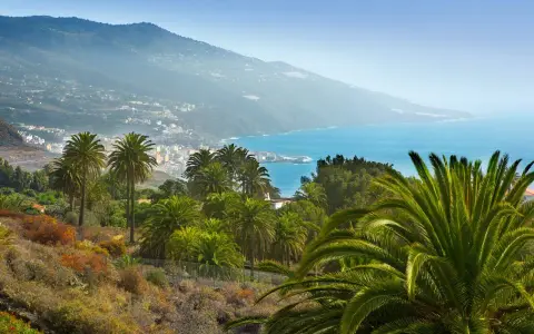Un paisaje idílico para saber qué ver en La Palma: palmeras exuberantes, el azul del mar y un pueblo costero al fondo.