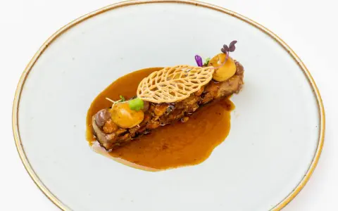 Delicioso plato de carne con salsa y guarnición, ideal para descubrir dónde comer en Zaragoza.