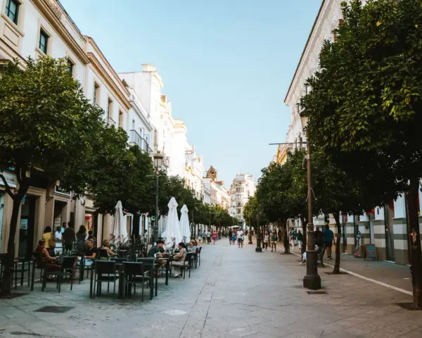 Disfruta de un día en Jerez de la Frontera paseando por esta calle arbolada con terrazas.