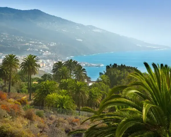 Un paisaje idílico para saber qué ver en La Palma: palmeras exuberantes, el azul del mar y un pueblo costero al fondo.