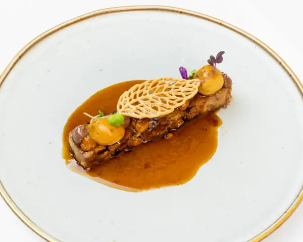 Delicioso plato de carne con salsa y guarnición, ideal para descubrir dónde comer en Zaragoza.