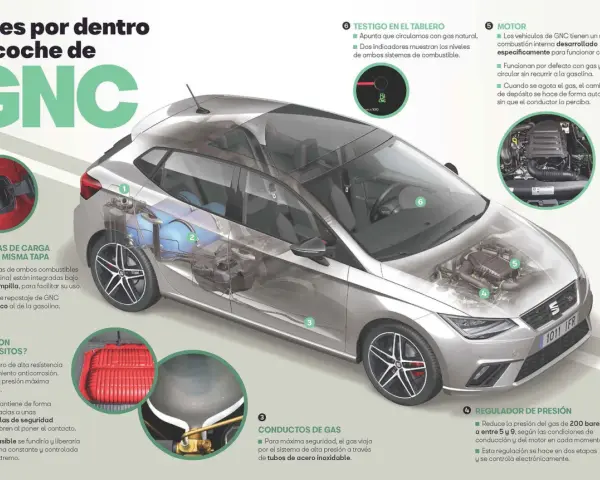 Interior de un coche de GNC, mostrando sus componentes y explicando la diferencia entre GLP y GNC.