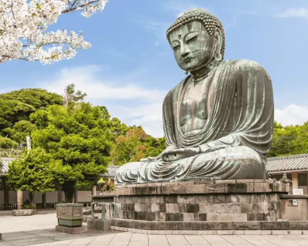 El Gran Buda de bronce, una maravilla que ver en Kamakura, sentado serenamente bajo cerezos en flor y rodeado de exuberante vegetación.