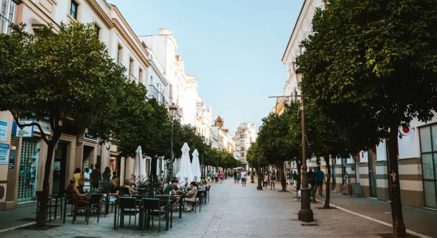 Disfruta de un día en Jerez de la Frontera paseando por esta calle arbolada con terrazas.