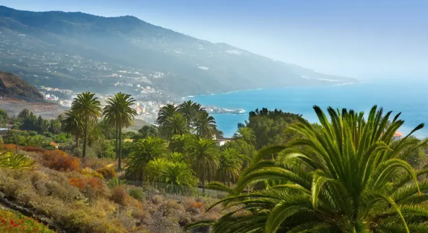 Un paisaje idílico para saber qué ver en La Palma: palmeras exuberantes, el azul del mar y un pueblo costero al fondo.