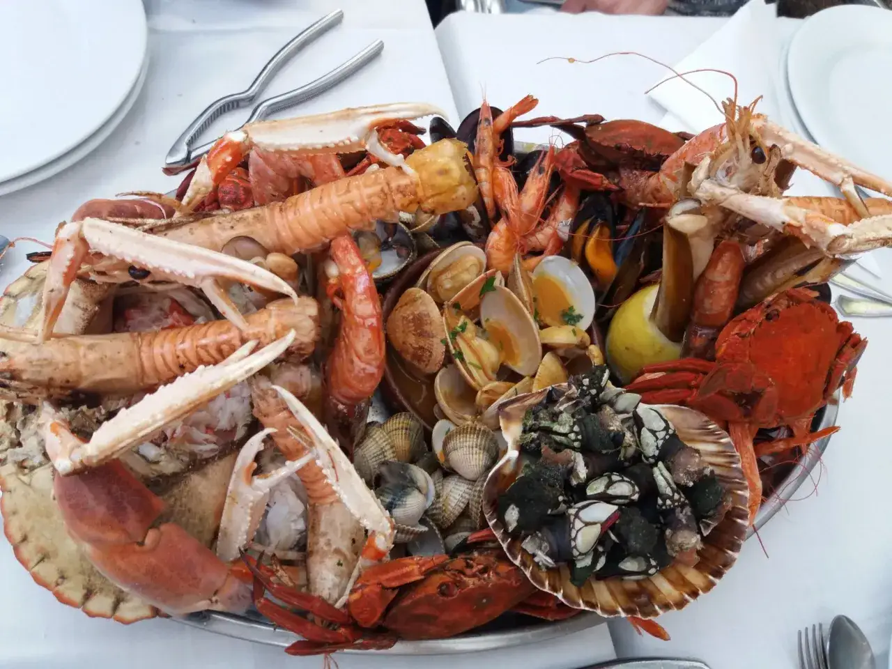 Marisco fresco en Vigo: cigalas, gambas, mejillones, almejas y percebes. &iexcl;Un fest&iacute;n para descubrir d&oacute;nde comer en Vigo!