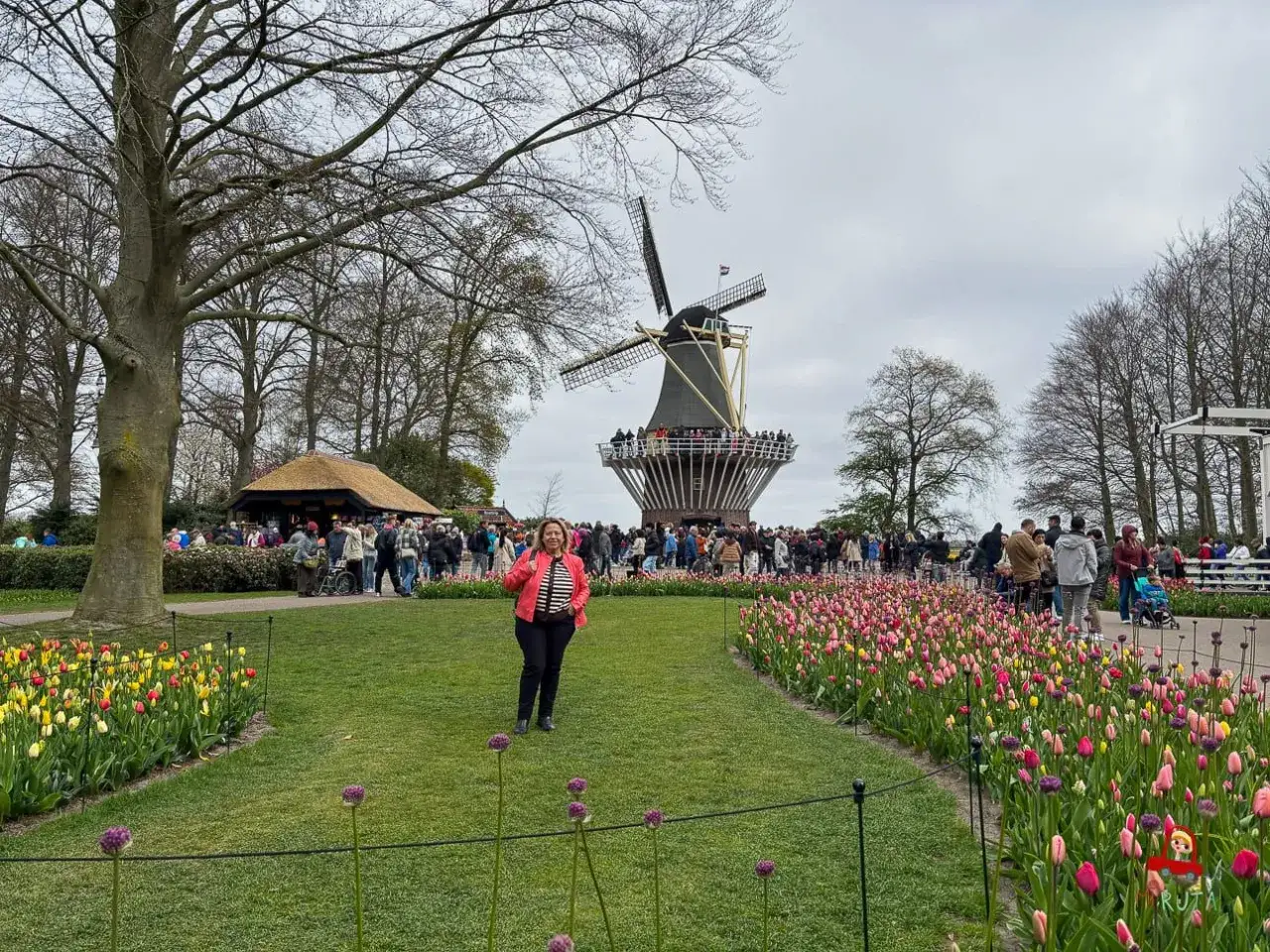 Una mujer posa en un campo de tulipanes frente a un molino de viento, un cl&aacute;sico de que ver en Holanda.