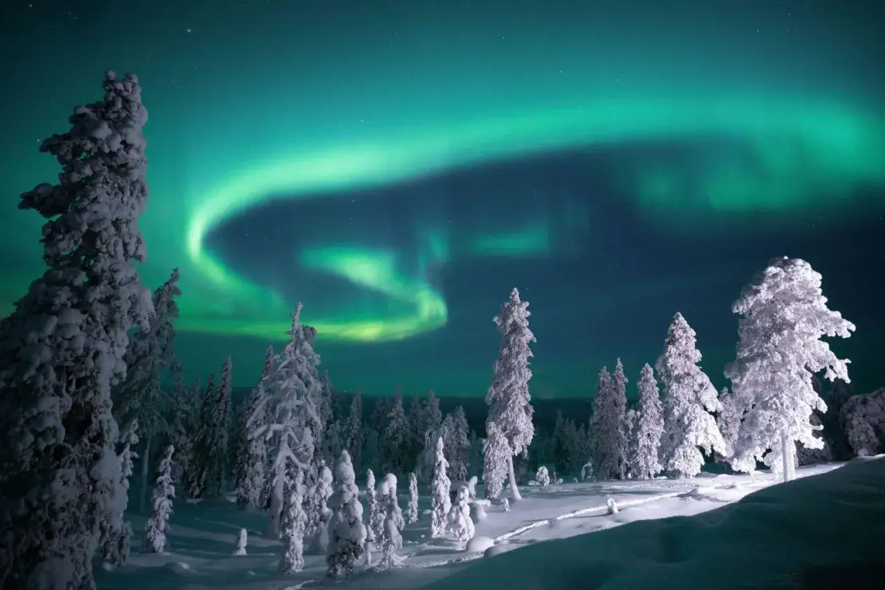 Paisaje invernal en Finlandia con &aacute;rboles cubiertos de nieve y la aurora boreal danzando en el cielo nocturno. &iexcl;Imprescindible que ver en Finlandia!