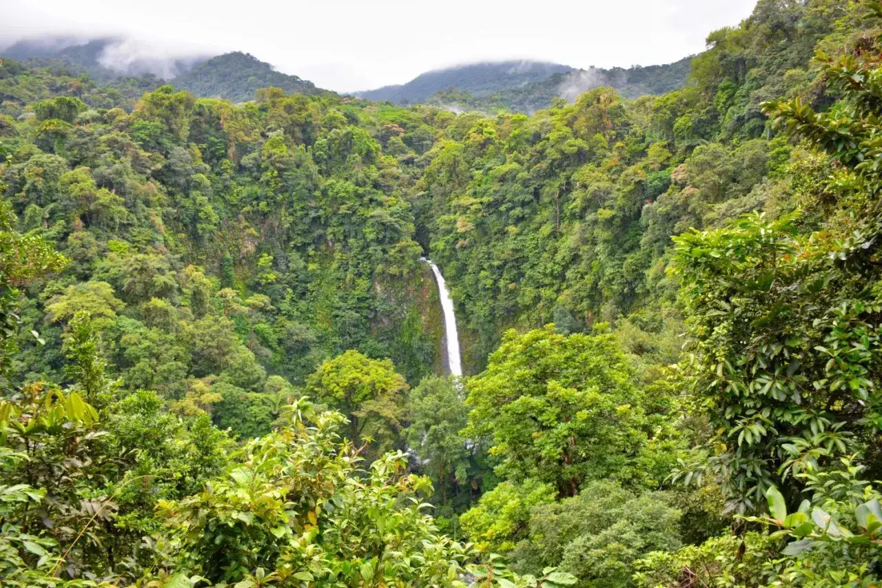 Cascada en la selva exuberante de Costa Rica por libre. Monta&ntilde;as cubiertas de niebla y vegetaci&oacute;n densa.