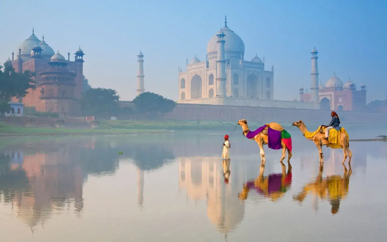 Dos camellos adornados cruzan un r&iacute;o tranquilo frente al majestuoso Taj Mahal, una escena ic&oacute;nica para viajar a la India.