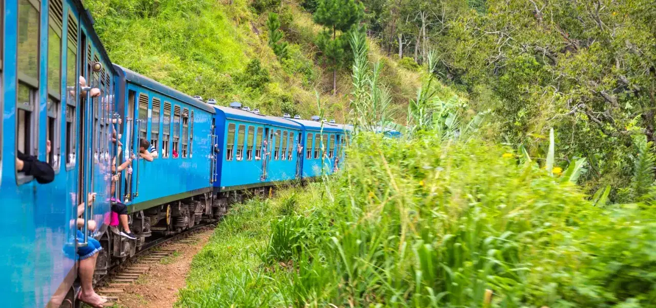 Tren azul recorre exuberante paisaje de Sri Lanka. Gente asoma por las ventanas, disfrutando del viaje. &iexcl;Imprescindible ver!
