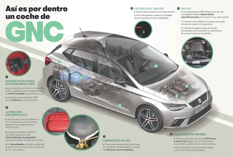 Interior de un coche de GNC, mostrando sus componentes y explicando la diferencia entre GLP y GNC.